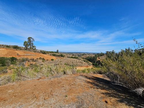 Parcela En Consolidado Condominio En Algarrobo Norte