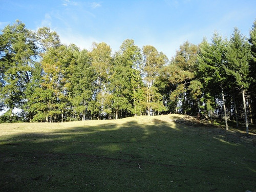 Agrícola En Venta En Malihue, Comuna De Los Lagos