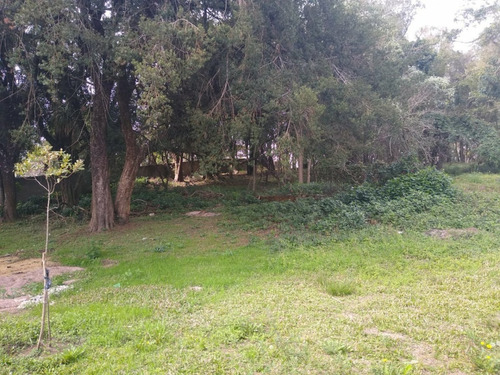 Imagem 5 de 6 de Área Residencial Para Venda Em Santa Cândida Curitiba-pr - 217