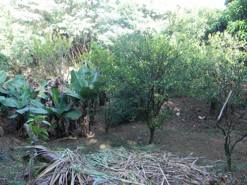 Chácara À Venda, 3 Quartos, 5 Vagas, Condomínio Recanto Florido - Vinhedo/sp - 4295