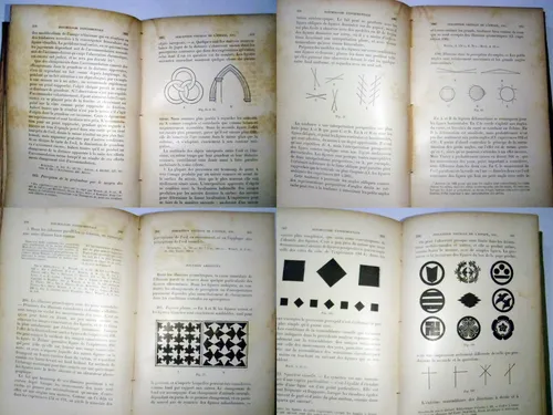 1900 Psicologia Experimental - Sanford - Rarisimo - Frances (Usado)