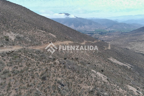 22 Parcelas De 5,000 M2 En Venta El Hinojal,valle De Elqui.