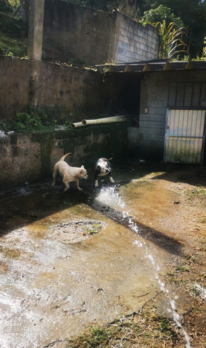 Chacara Em São Lourenço Da Serra Bairro Fazenda Vitória