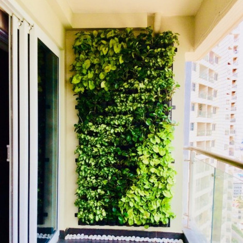 Jardín Vertical Exterior E Interior Panel Pvc