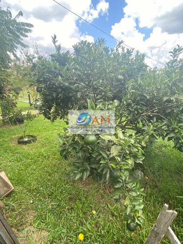 Imagem 27 de 27 de Chácara À Venda No Jardim Boa Vista , Próximo A Volvo E A Represa Do Passauna. - 600