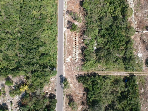 Imagen 10 de 21 de Terreno En Venta En Yucatan A 6 Minutos De La Playa Sn Crisa