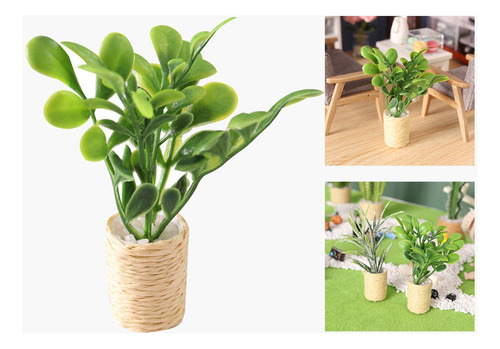 L Adorno De Vegetación Tipo Bonsái Estilo Modelo A