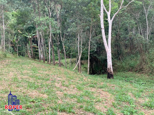 Imagem 27 de 30 de Maravilhoso Sitio Com 72.000 M² Com Lago E Nascente À Venda Em São Lourenço Da Serra - St00022 - 69516737