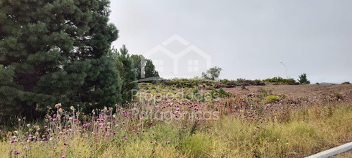 Terreno Lote En Venta En Bariloche Listo Para Escriturar