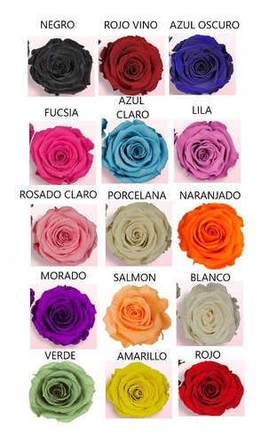 Rosa Preservada Eterna Todos Los Colores + Dia De La Mujer | Envío gratis