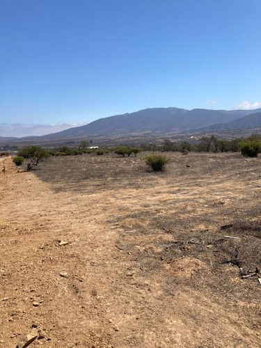Imagen 6 de 16 de Sitio Condominio Foresta De Zapallar/ruta 5 Norte