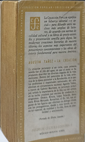 La Creación De Agustín Yañez