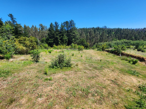 Terreno Con Salida A Carretera, A 30 Min De Concepción