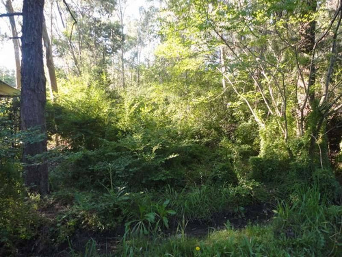 Terrenos O Lotes Venta Colonia