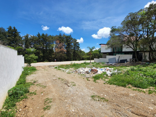 Venta Lote Real De Encinos En Fracc Súper Exclusivo En Gran Reserva Con Proyecto Incluído En Ixtapan De La Sal Edomex