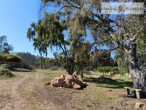 Parcela En Venta En Quintero