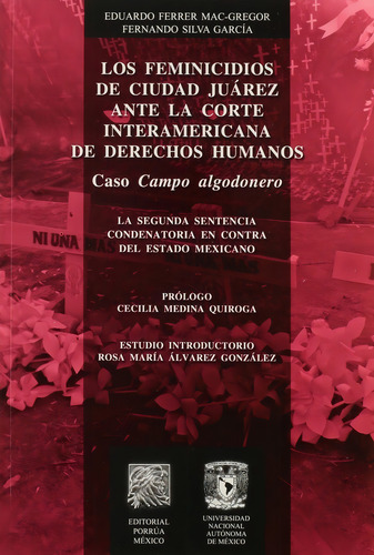 Feminicidios De Ciudad Juarez Ante La Corte Interamericana