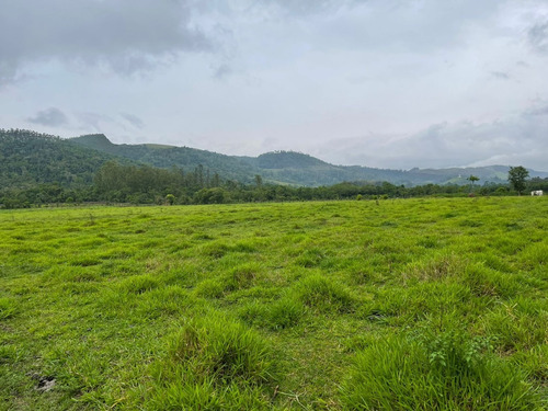 Imagem 12 de 14 de S12- Em Jacareí,lotes 1000m Plaino A Venda