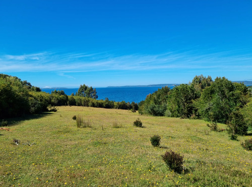 Terreno En Chiloe - Reserva Chucao