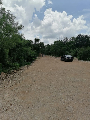 Imagen 5 de 10 de Lotes Semi Urbanizados Punta Clara En Dzidzantún, Yucatán