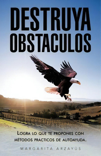 Destruya Obstaculos, De Margarita Arzayus. Editorial Palibrio, Tapa Blanda En Español