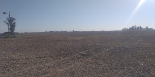 Campo En Serodino