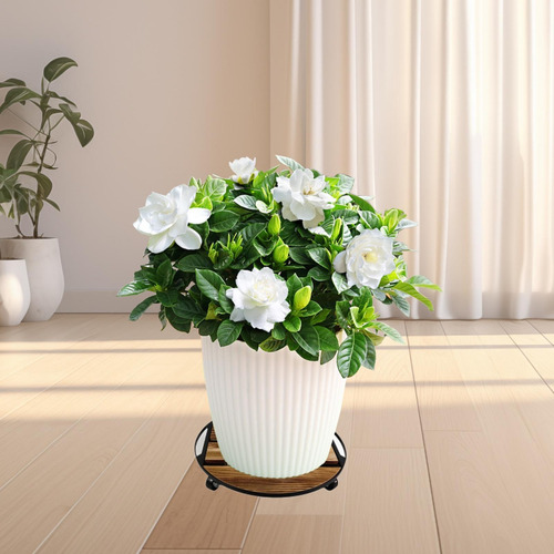 Soporte Rodante Para Plantas Con Ruedas, Soporte 30cmx30cm