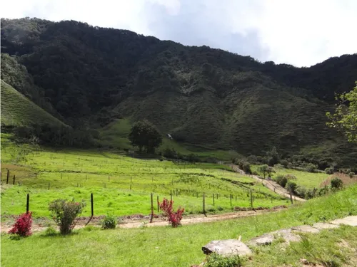 Finca En Venta La Unión Via Abejorral Antioquia. 83 Hectareas