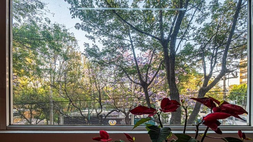 Imagen 6 de 20 de Departamento De Venta En Alcaldía Benito Juárez