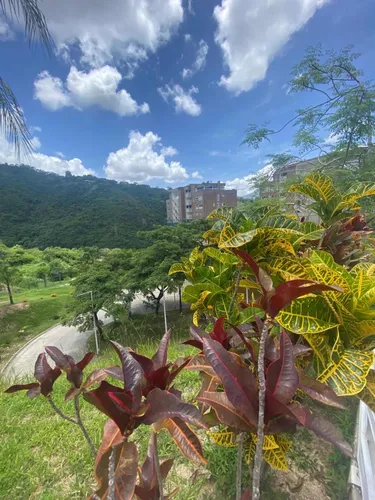 Alquiler 133 Mtr Más Terraza