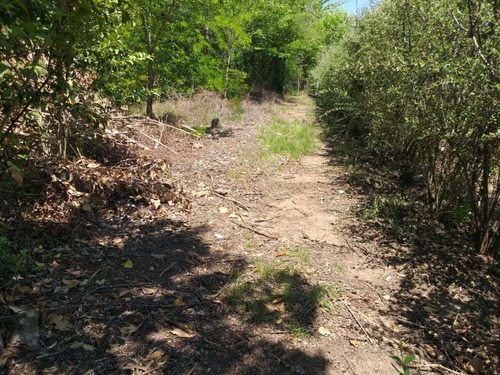 Imagen 6 de 6 de Oportunidad!! Lote Zona Calamuchita