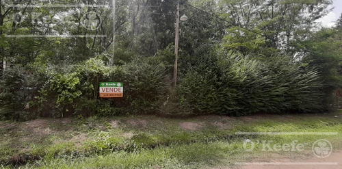 Imagen 2 de 10 de Amplio Lote De 841 M2, A Mts. De Barrio Cerrado La Arbolada