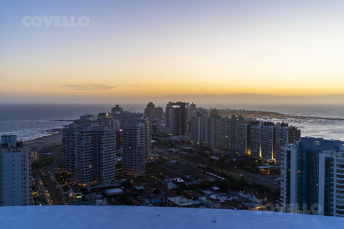 Imagen 4 de 30 de Apartamento De Un Dormitorio En Piso 20 , Garage , Vista , Edificio Con Amenities
