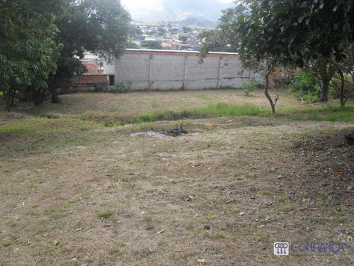 Imagem 5 de 13 de Sítio À Venda, 5725 M² Por R$ 2.800.000,00 - Cosmos - Rio De Janeiro/rj - Si0008