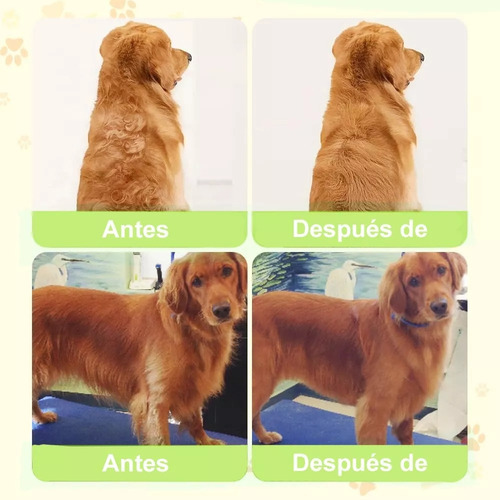 3 In 1 Depilación Cepillo De Vapor Para Gato/perro Mascota