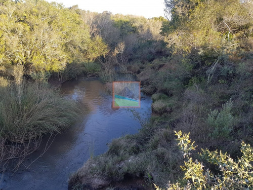 Campo Ganadero, 31 Hectáreas Garzón Bajo, Maldonado