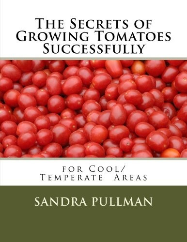 The Secrets Of Growing Tomatoes Successfully For Cooltempera