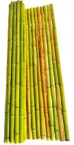 Comprar Cerco De Cañas Pergolas Tacuara Bambu Cañas Sueltas 