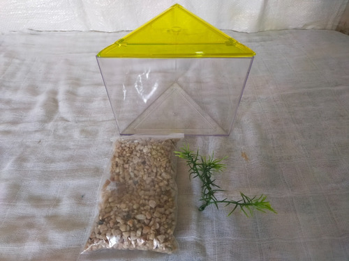 Kit Bettera Triangular Con Tapa Chica Lee´s
