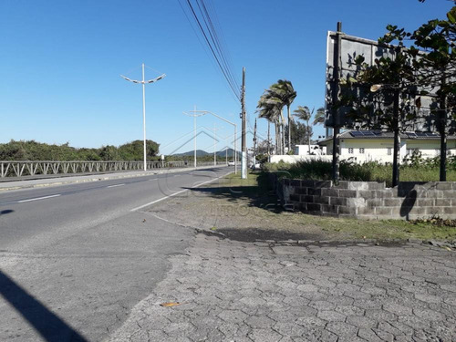 Imagem 8 de 10 de Terrenos - Ref: V698