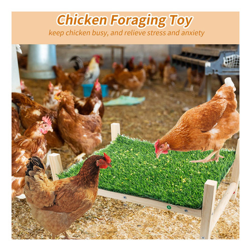 Juguetes De Pollo De Madera Multifuncionales De Madera Extra