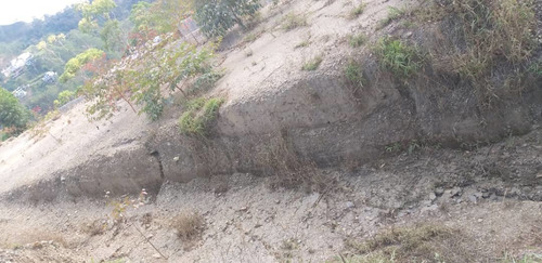 Imagen 6 de 14 de Terreno Colinas De Avp Carrizal