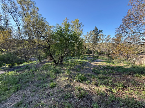 Terreno En Venta Con Costa De Rio - 3990 Metros - Escritura