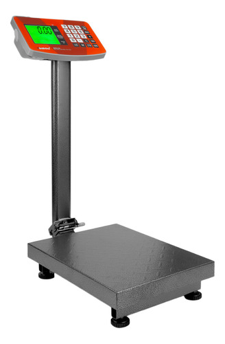 Báscula Industrial Rhino Baple-100, 100 Kg, Mástil Incluido Gris Oscuro