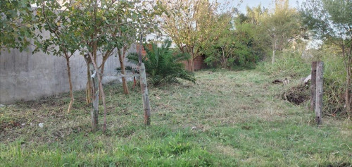 Imagen 3 de 3 de Terreno - Altos Del Sauce