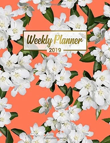 Weekly Planner 2019 Orange White Floral 2019 Planner Organiz
