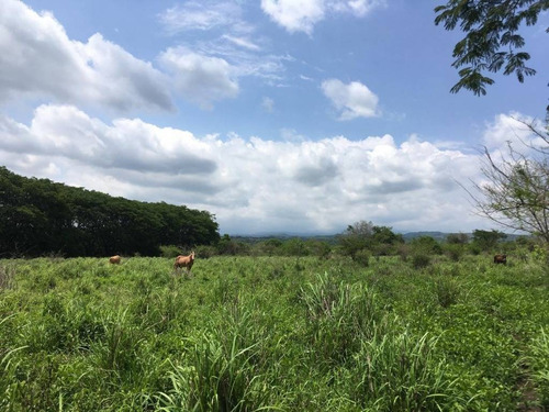 Imagen 24 de 30 de 33 Has Cerca De Altozano El Nuevo Colima