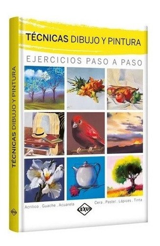 Libro Técnicas Dibujo Y Pintura