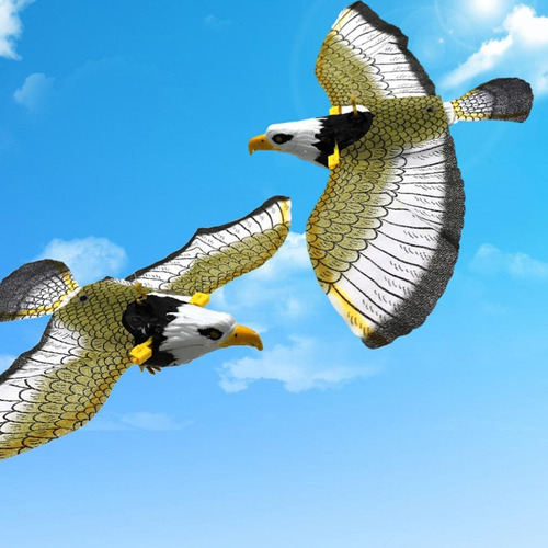 Gavião Águia Pássaro Falcão Gaivota Voadora À Pronta Entrega