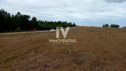 Campo De Calidad A Minutos De José Ignacio Y Garzón